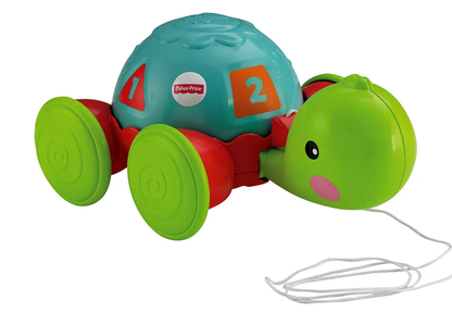 FP Tortuga Aprendizaje [Y8652]