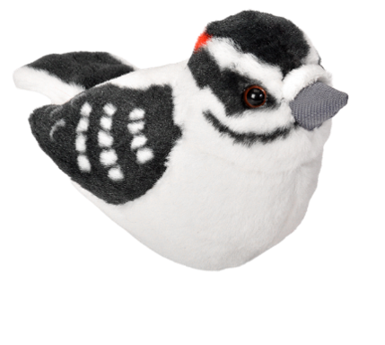 PELUCHE PAJARO CARPINTERO SUAVE AUD II